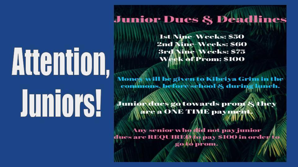 Junior Dues